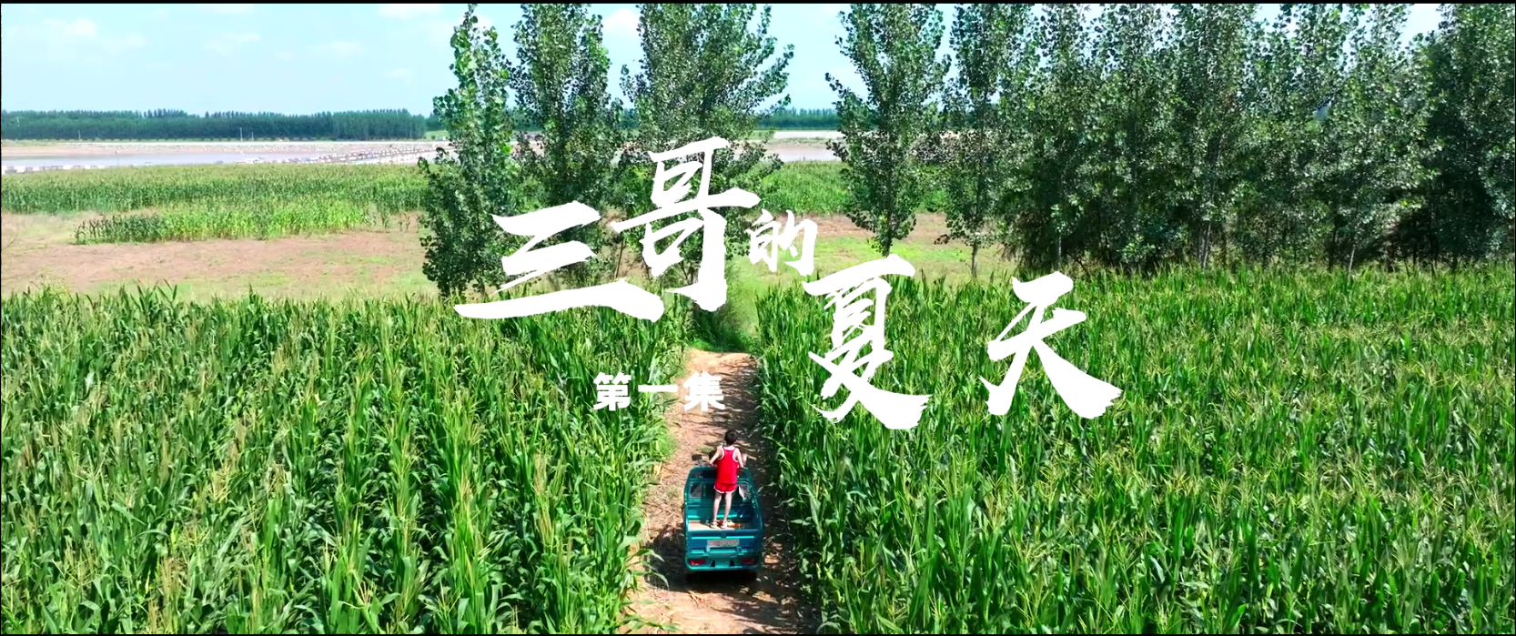 《三哥的夏天》第一集